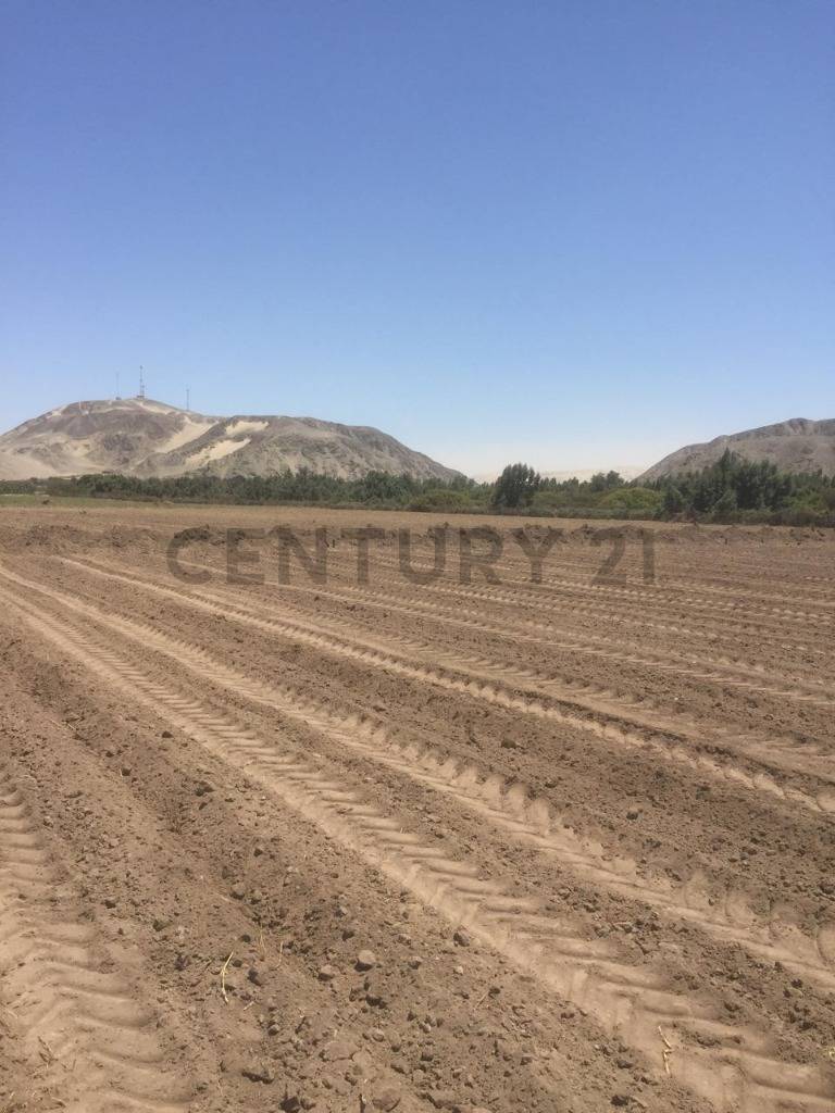 SE VENDE TERRENO AGRICOLA EN SANTIAGO - ICA