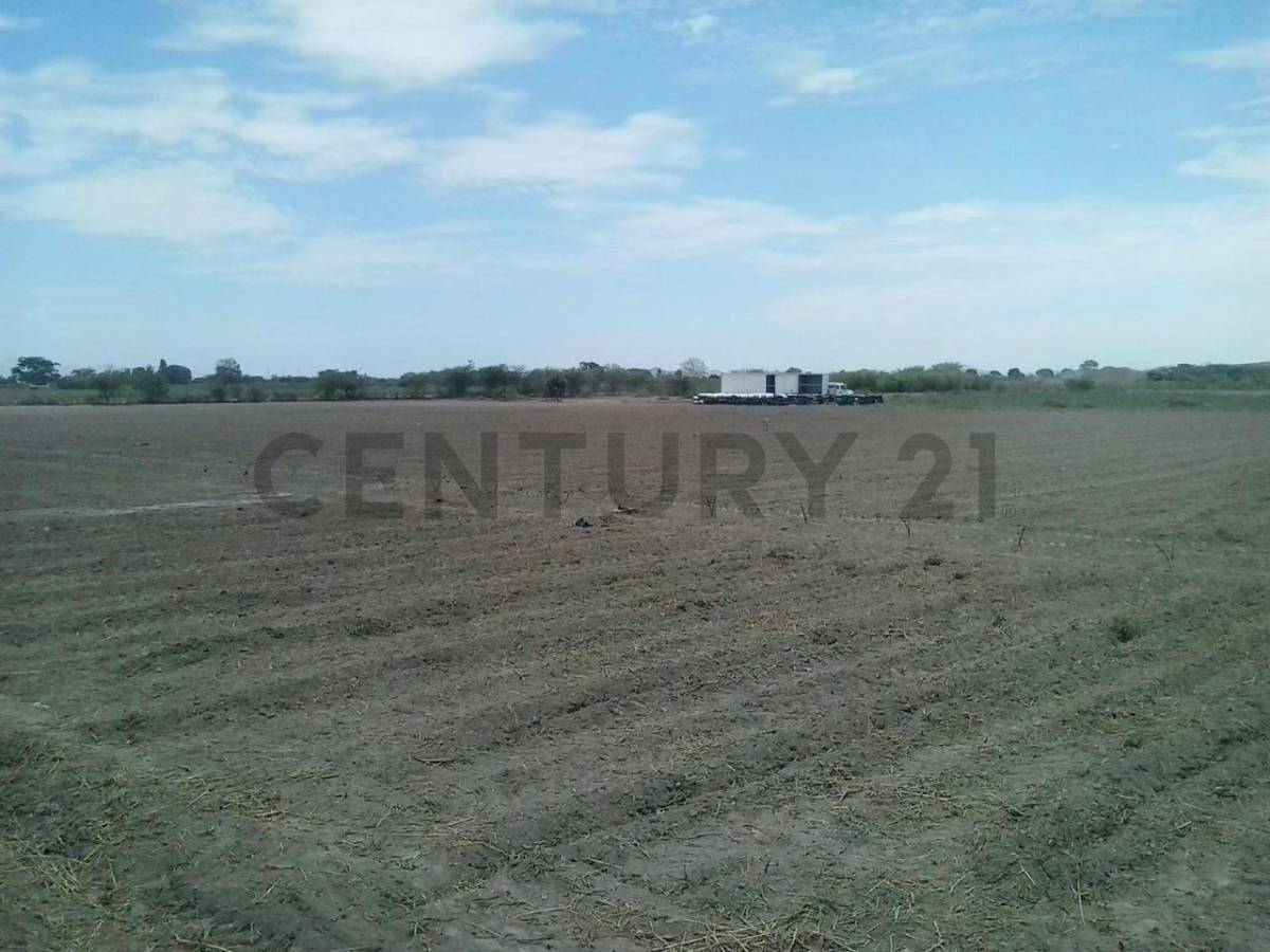 SE VENDE TERRENO AGRICOLA EN SANTIAGO - ICA