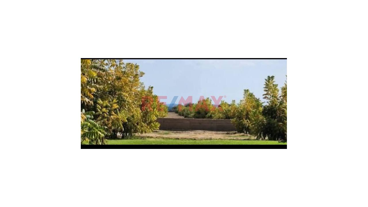 Condominio - Vendo Terreno con Casa De Campo