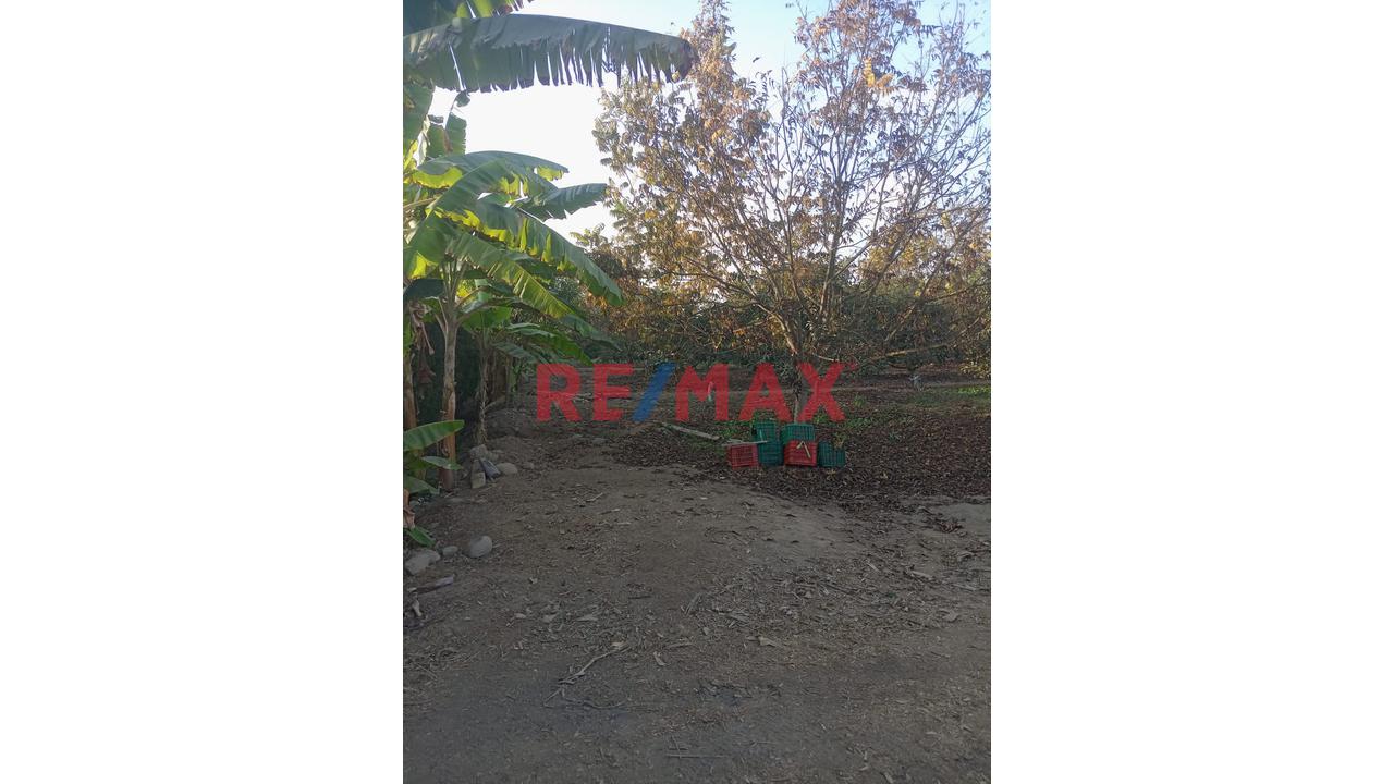 Venta De Terreno Agricola Por Hectárea