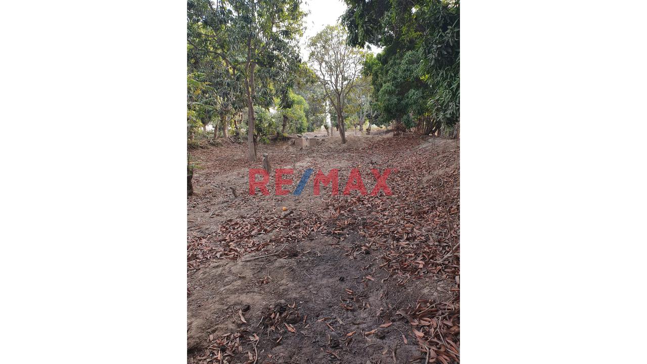 Venta De Terreno De 600 M2 Para Casa De Campo En Collazos - Salas Guadalupe