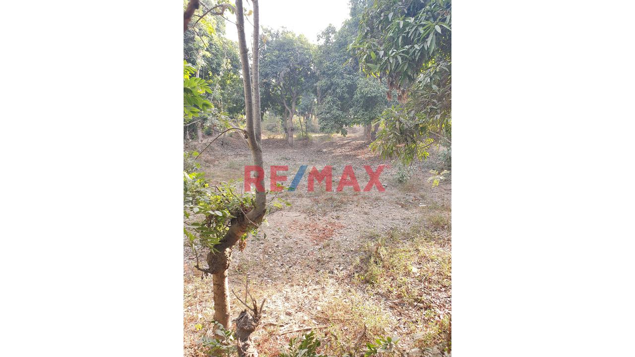 Venta De Terreno De 1204 M2 Para Casa De Campo En Collazos - Salas Guadalupe