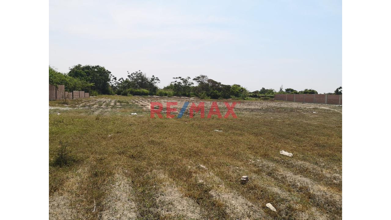 Se Vende Terreno De 4789 M2 En Sunampe