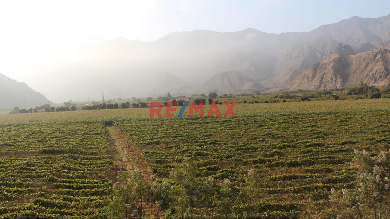 Venta De Terrenos En Condominio Villa Kitzia Caral En Supe-Barranca