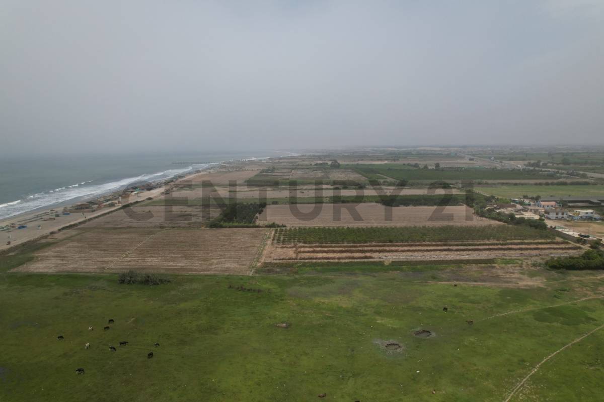 Venta de Terreno de Playa – Gran Oportunidad de Inversión