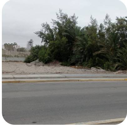 VENTA DE TERRENO EN PARACAS DE 800 M2
