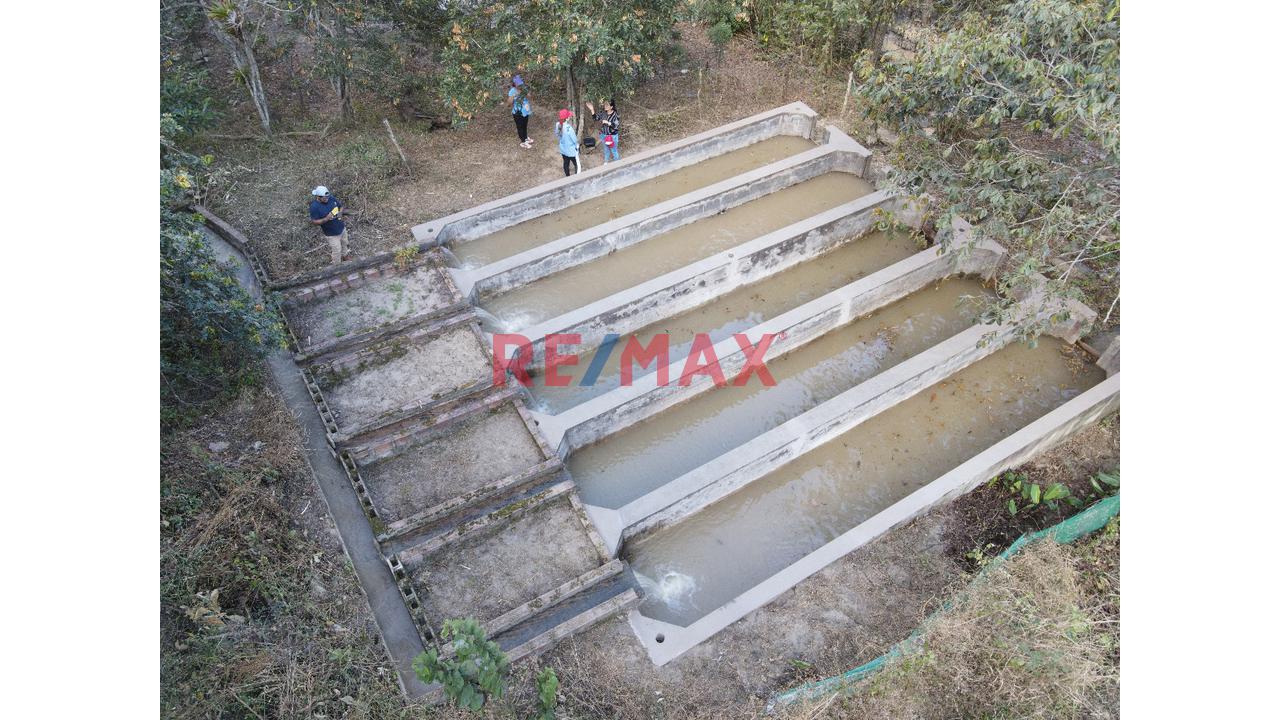 Vendo Hermoso Y Productivo Fundo Para Inversion En Amazonas - Nogalcucho 32.5 Hectareas