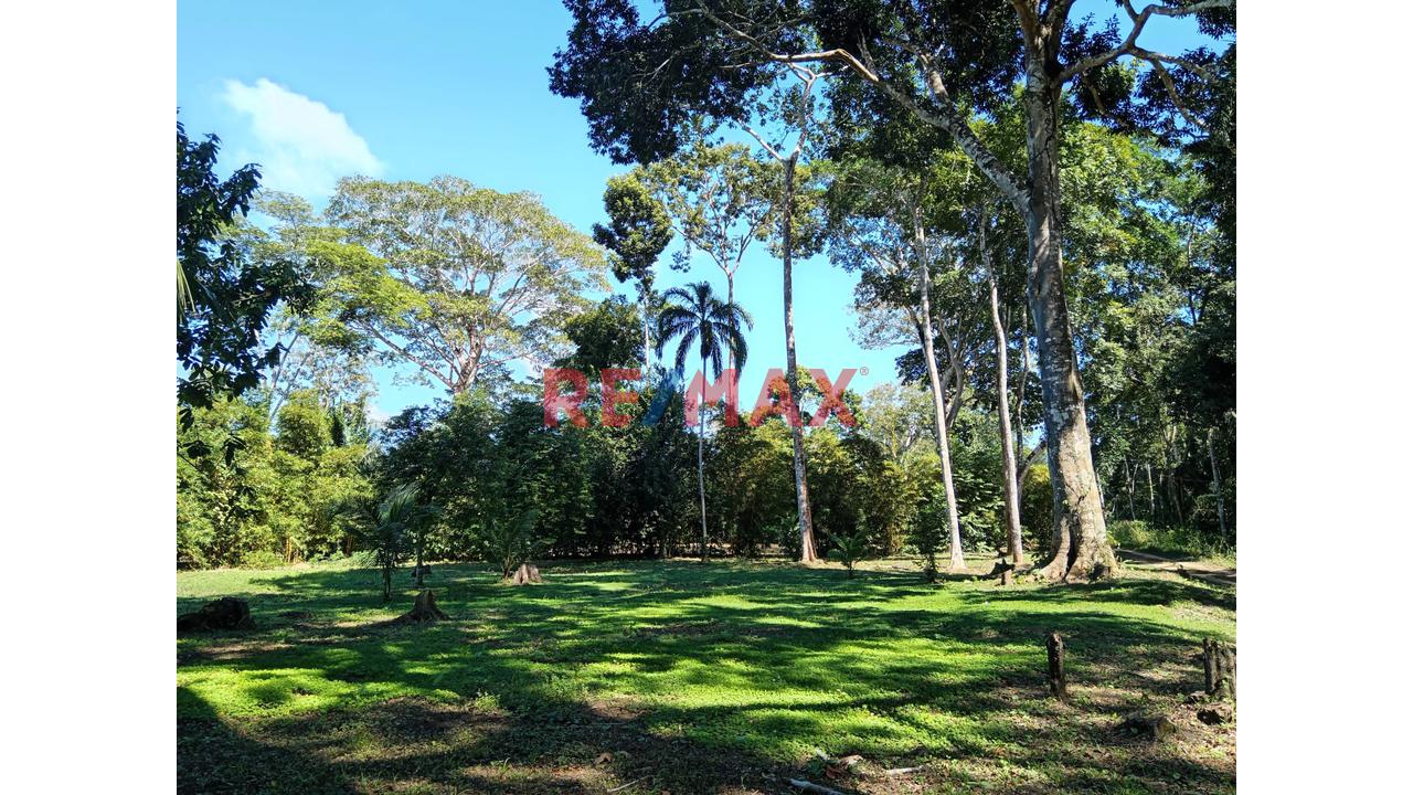 Terrenos En Venta En Puerto Maldonado